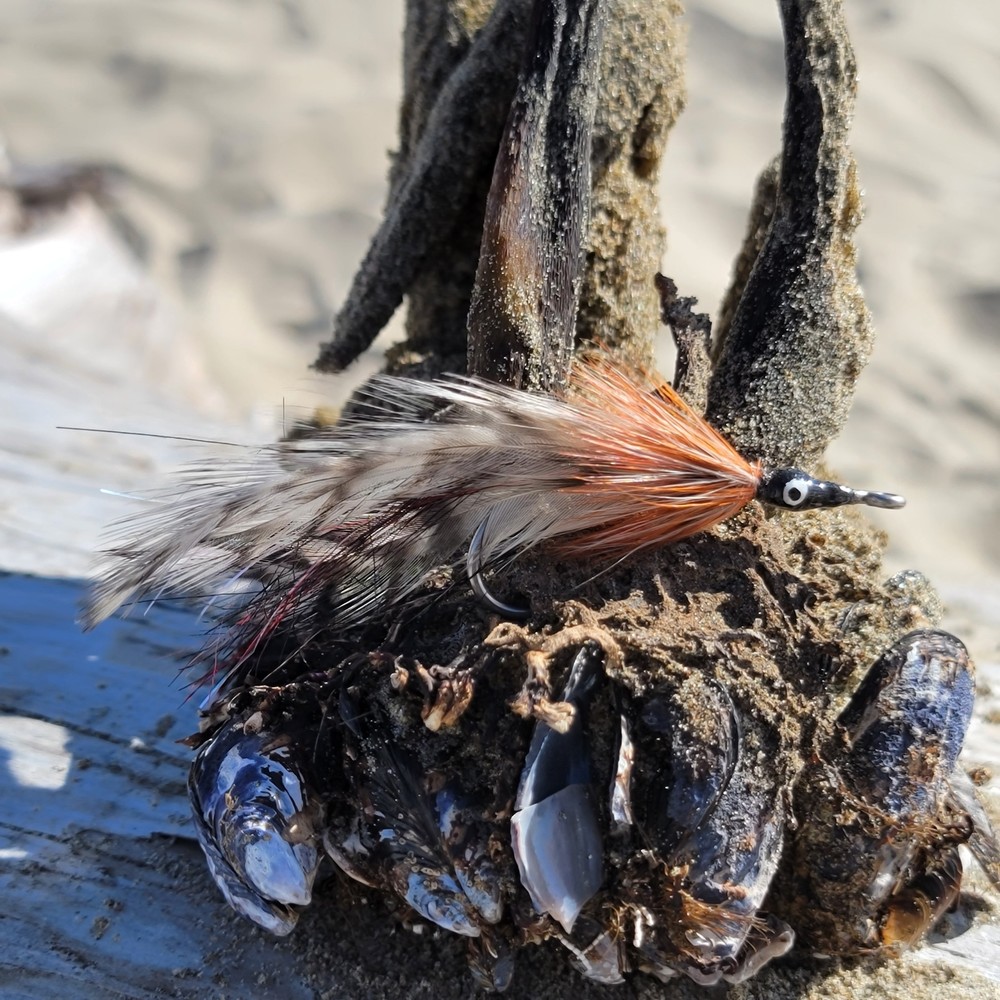 Tarpon Cockroach | Size #4/0