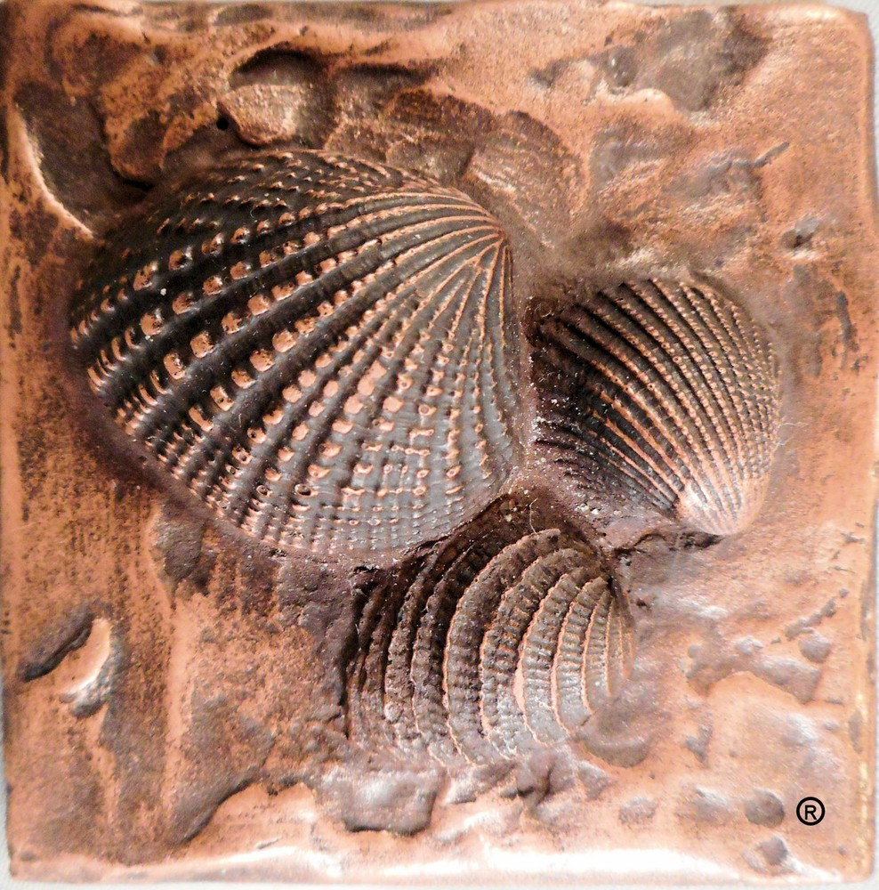 Copper Sea Shells #2 Decorative Dot Tile
