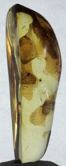 LEAF & FRUIT FLIES in Mexican Amber specimen 5g