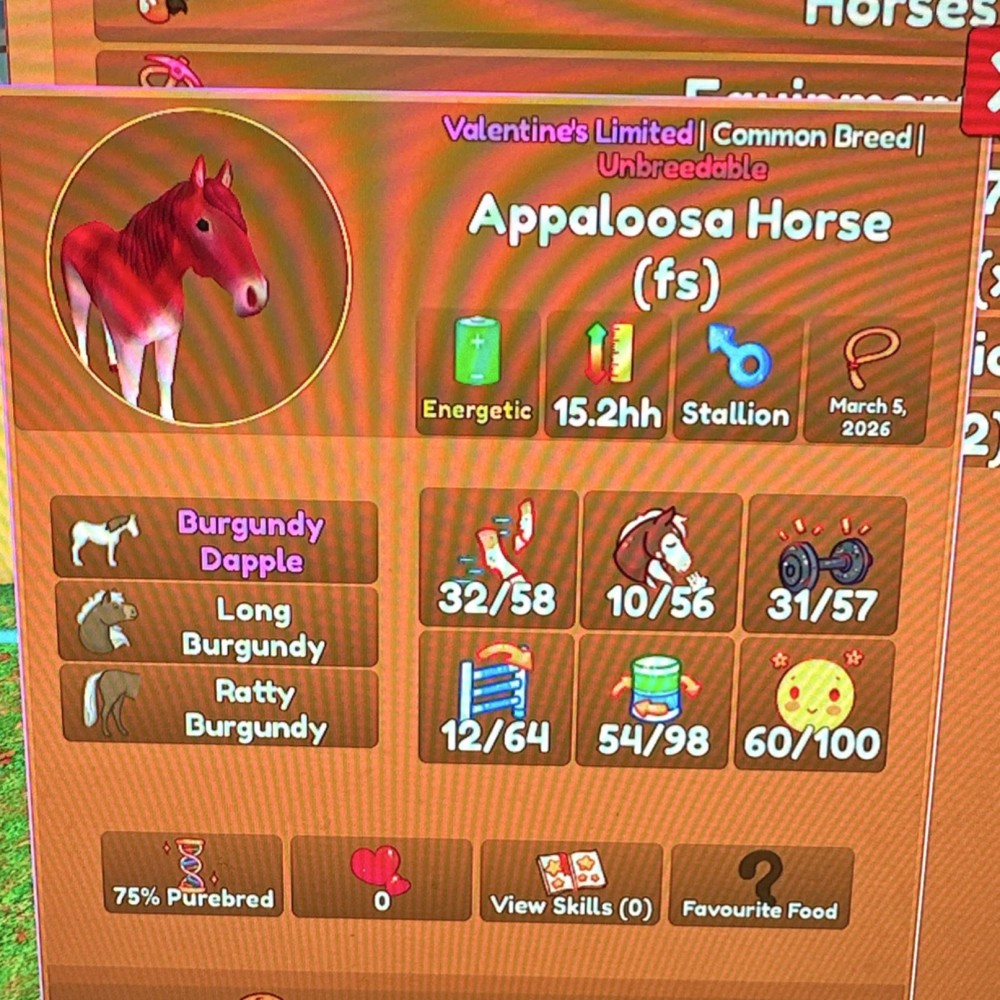 Wild Horse Island Events