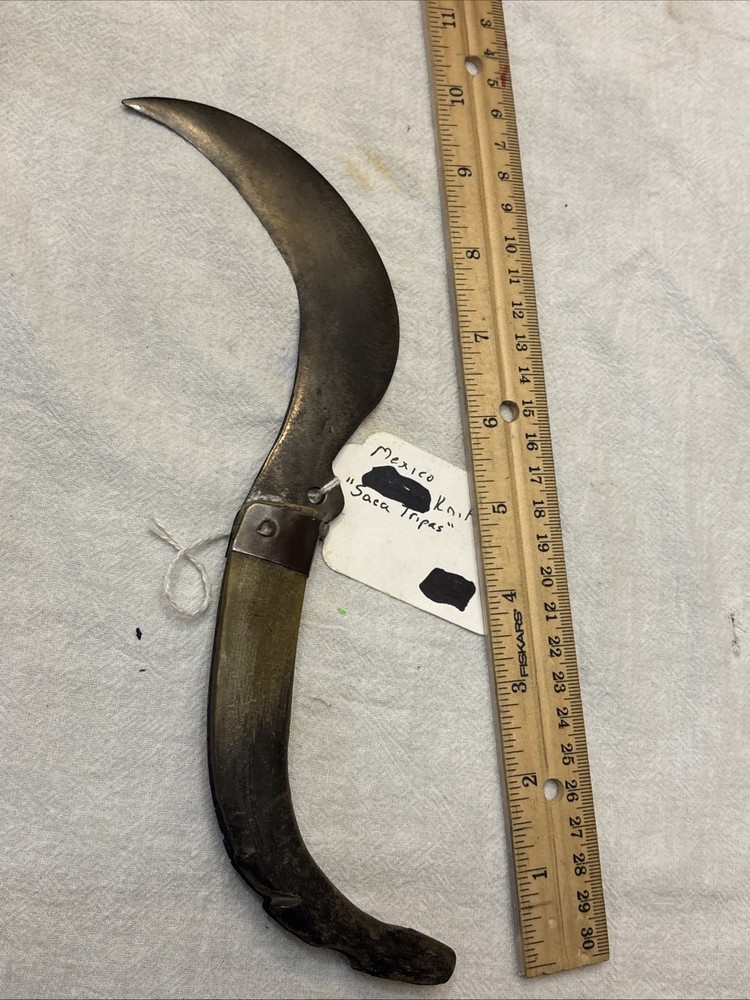 Vintage Mexico Knife Folding Saca Tripas Single Blade  Horn Handle. Nice &Sharp