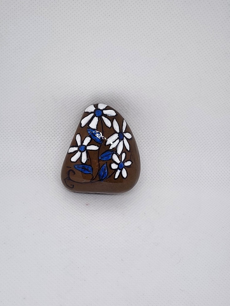 Hand Painted Rocks