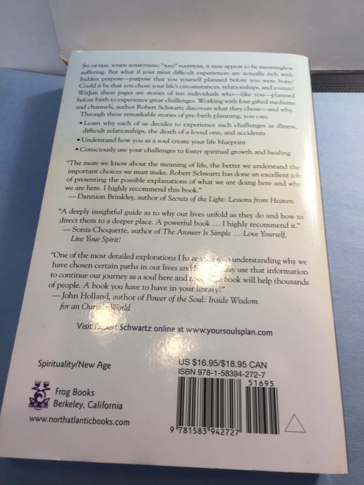 The Soul's Plan by Robert Schwartz