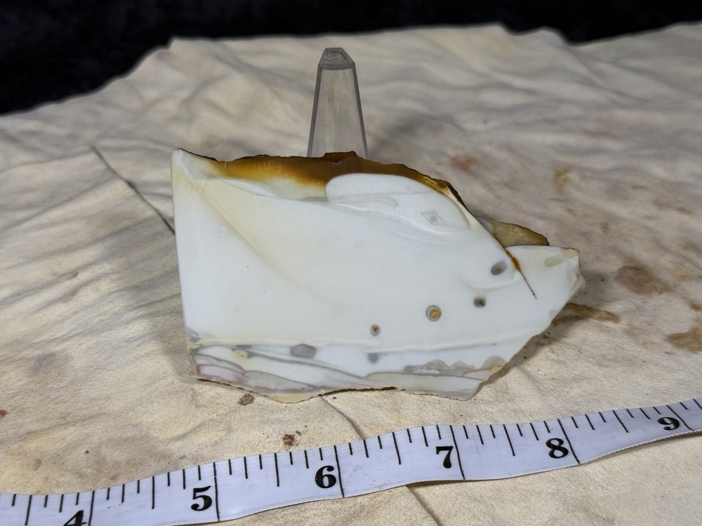 Willow Creek Jasper End Cut, Lot #60