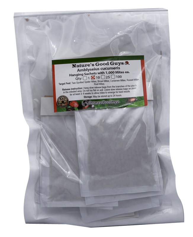 Slow Release Sachets - Amblyseius cucumeris - Predatory Spider Mite Control