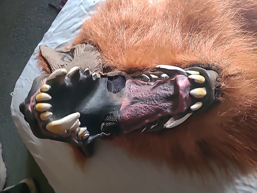 Howling Wolf Halloween Mask Brown