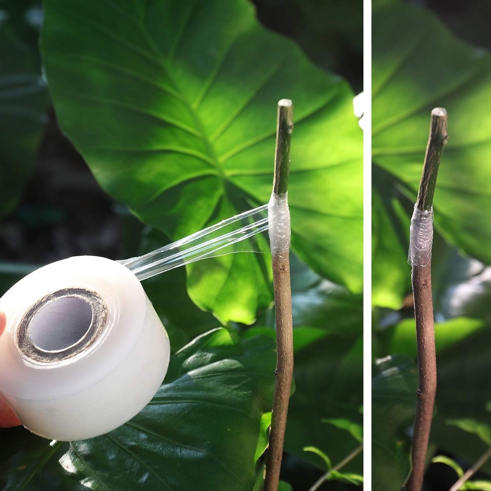 NAYE Grafting Tape for Fruit Trees, 3 Pcs