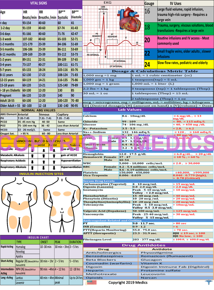 Nurse Clipboard -GRAY -reference sheets -great for clinical