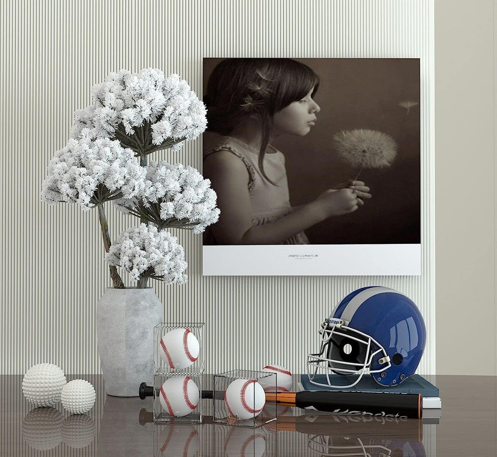 Baseball Display Case UV Protected Acrylic Clear Baseball Holder Square Cube Bal