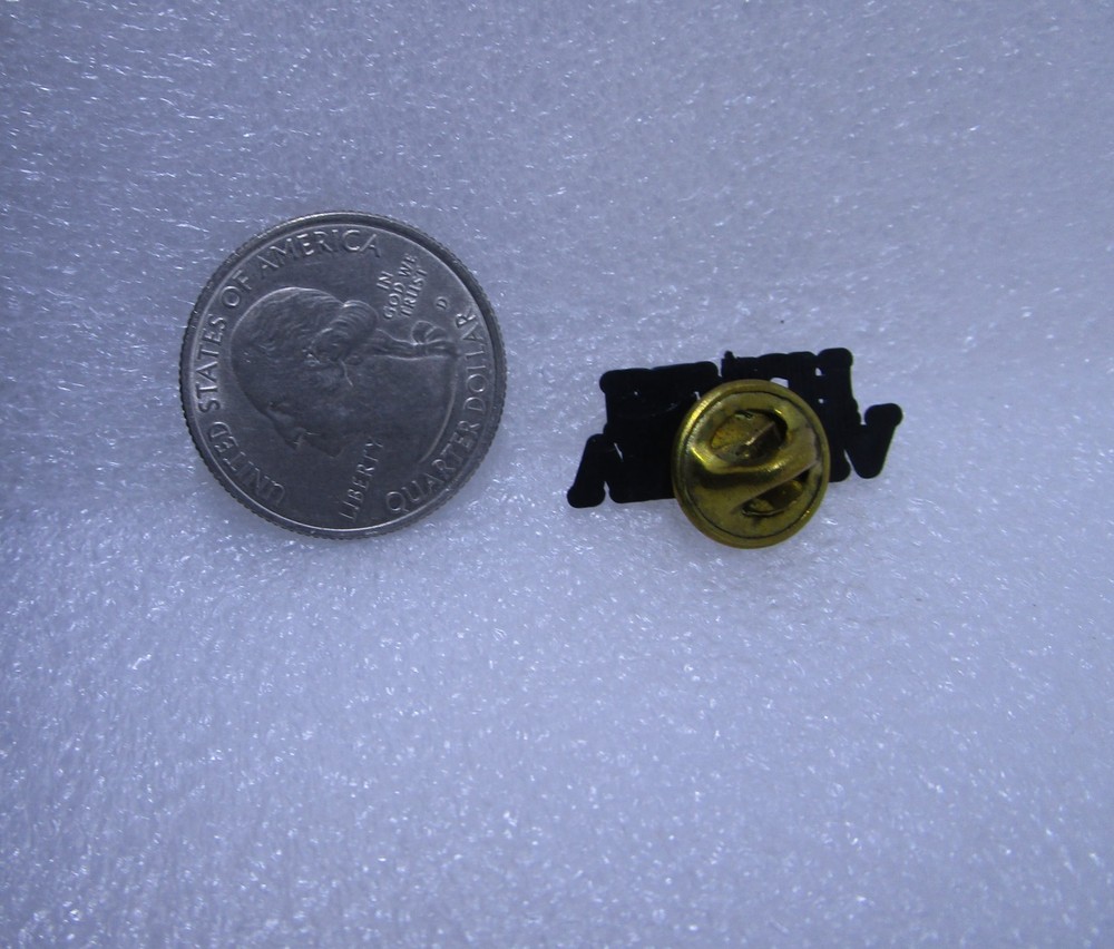 Virginia Beach Virginia Plastic Pin