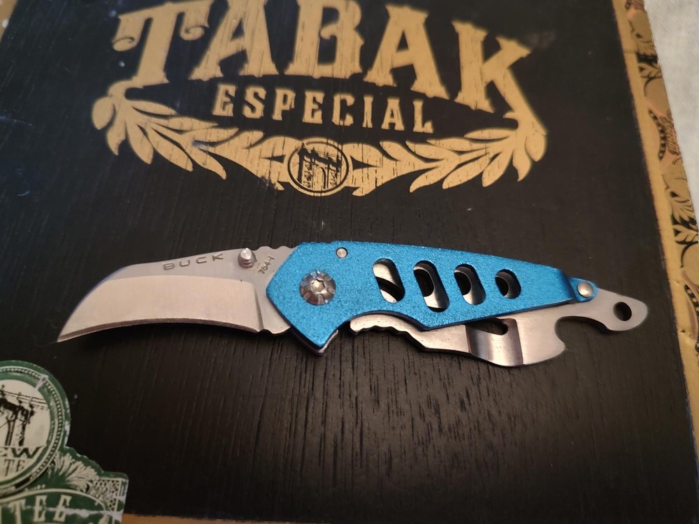 Buck Folding Pocket Knife with Blue Handle