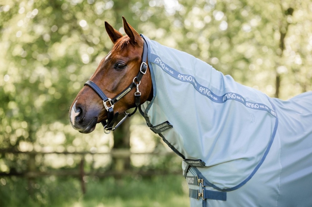 Amigo ® Bug Rug Plus Fly Sheet