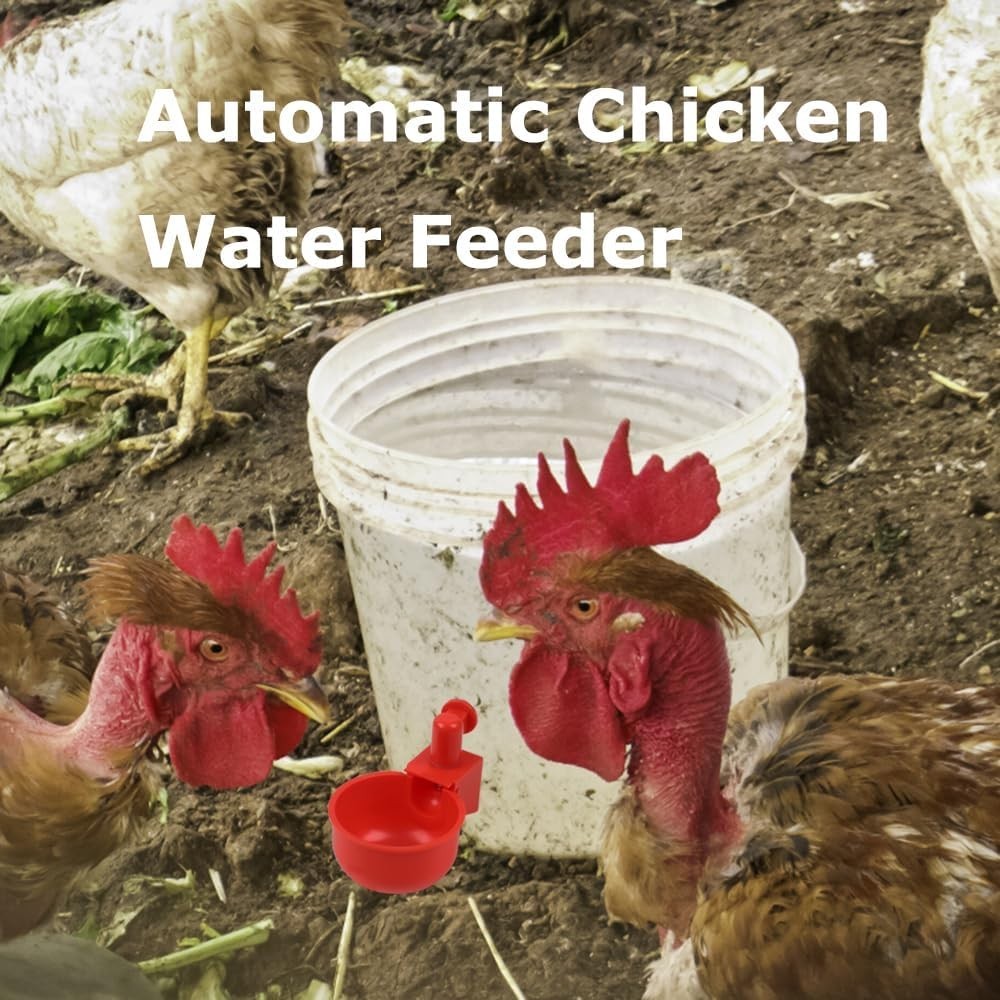 6 Pack Large Automatic Poultry Waterer Cups with Mounting Opener - Durable PVC