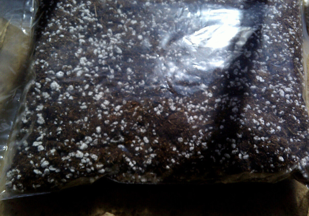 Venus Flytrap Organic Sphagnum Peat Moss Perlite 3 Gallons Free Shipping