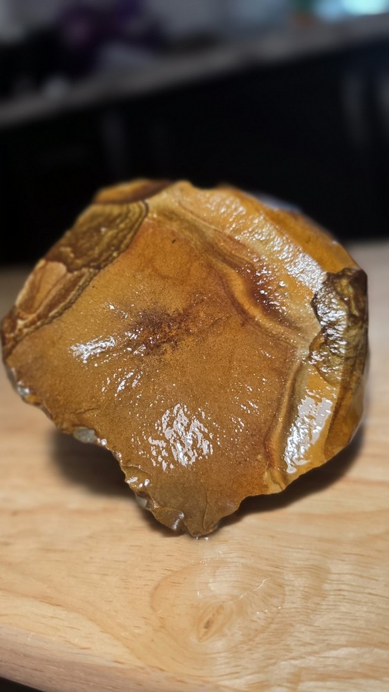 Owyhee Picture Jasper