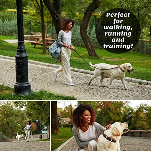 - Premium Leather Dog Leash - 6 ft Heavy-Duty Soft & Strong for Small/Medium ...