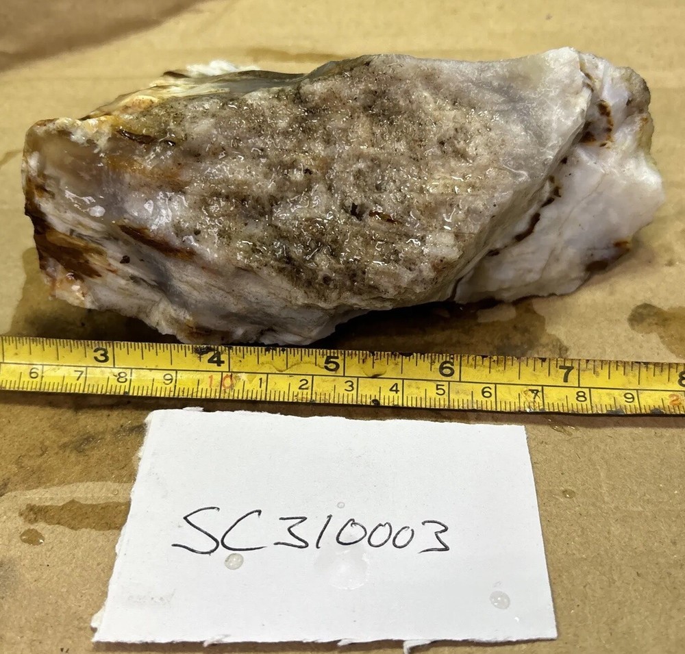 Silver Creek Junction optimized petrified wood