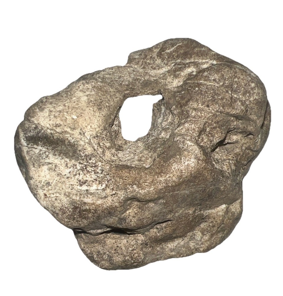 Natural hag stone 1.15oz.