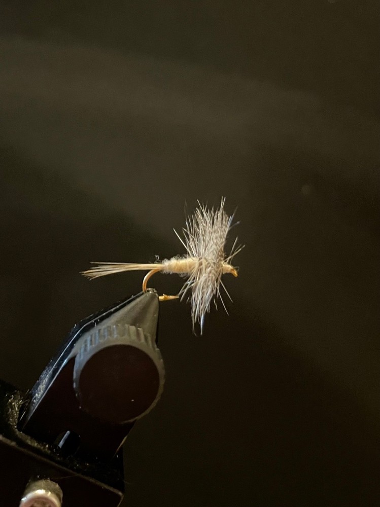Gray Fox fly on #14 hook by Foxy Fly Co