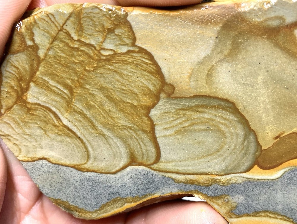 Disaster Peak Picture Jasper Slab