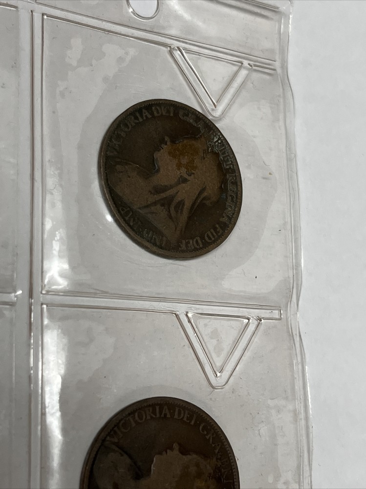 Coin Collection