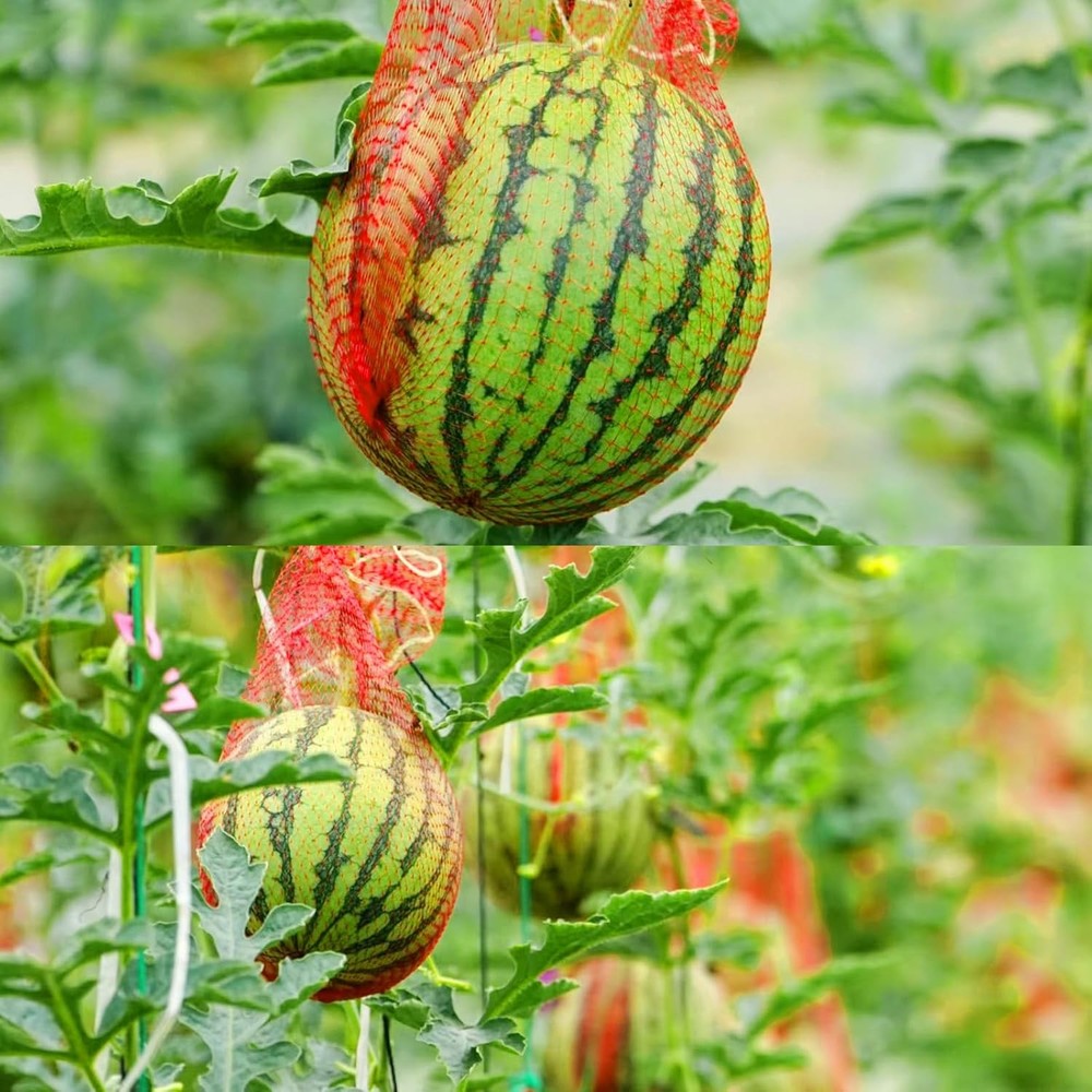 Iceyyyy 50 Pack Watermelon Nets,Hanging Support 50pcs