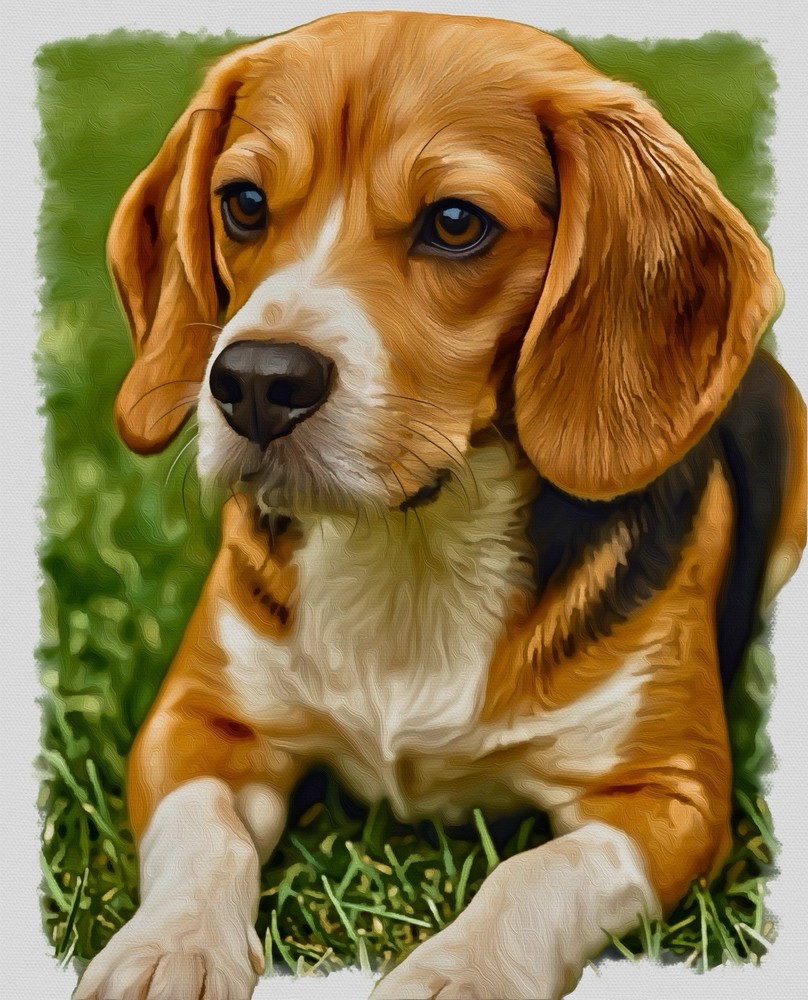 10 Blank Digitalized Painted Greeting Cards: Dogs