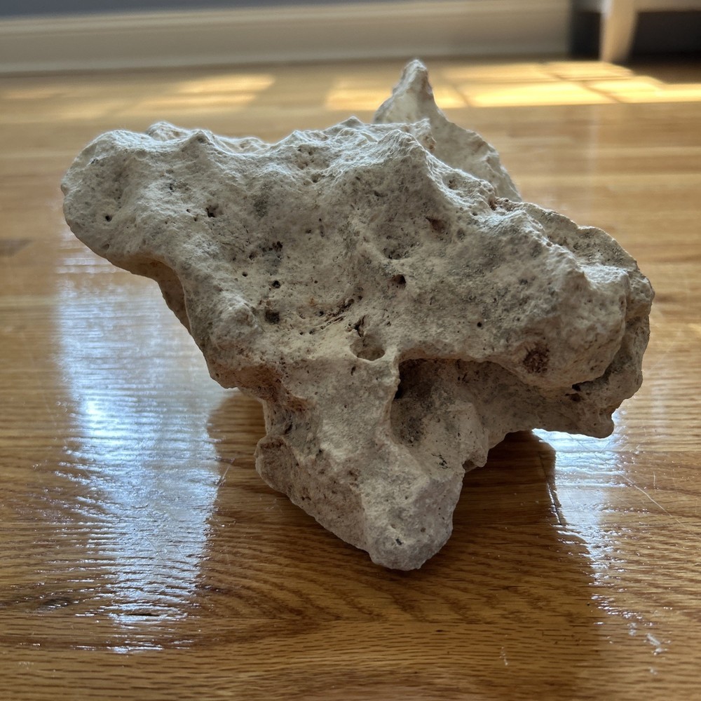 Landscaping rock for terrariums