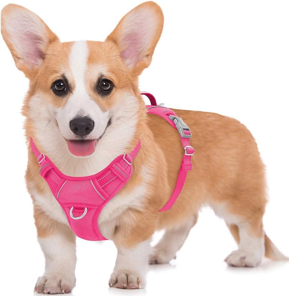 Innovative No-Pull Step-In Dog Harness with ID Tag Pocket - Pink, Medium