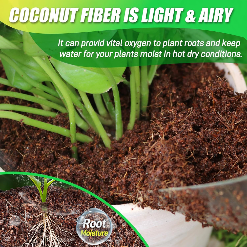 Coco Coir Brick for Plants-6 Pack Premium Coconut Bricks, 100% Organic Peat Moss