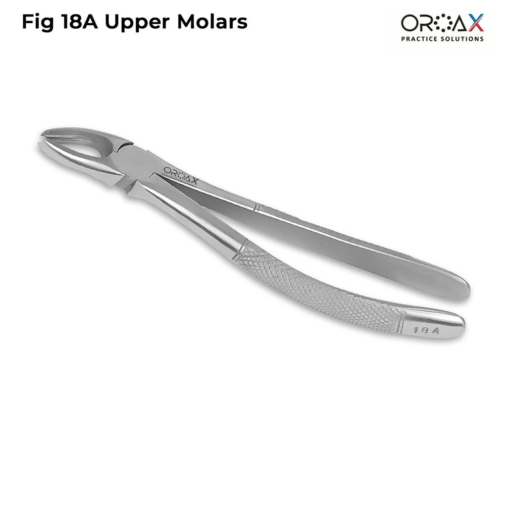 Oroax Fig 18A Dental Extraction Forceps Solid Handle Stainless Steel