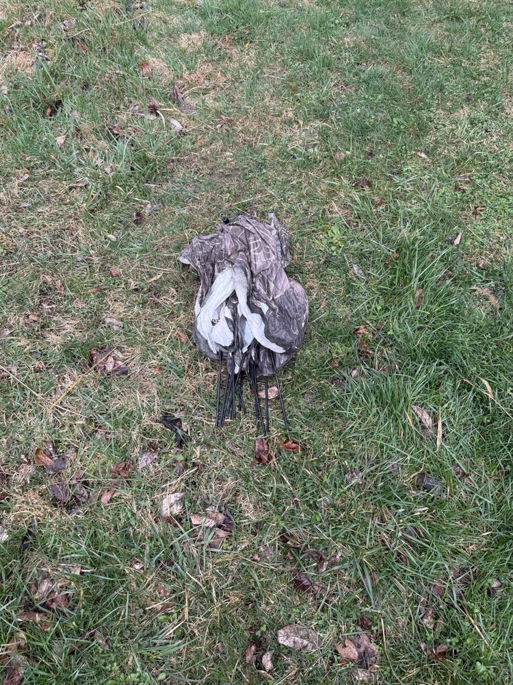1 Dozen White Rock Canada Goose Headless Sock Deocys