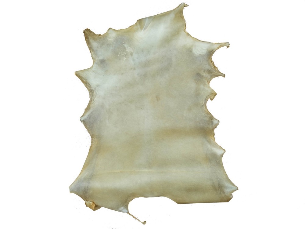 Deer Rawhide: Select Grade: Bleached (55-40-SELB-AS) 9UL8