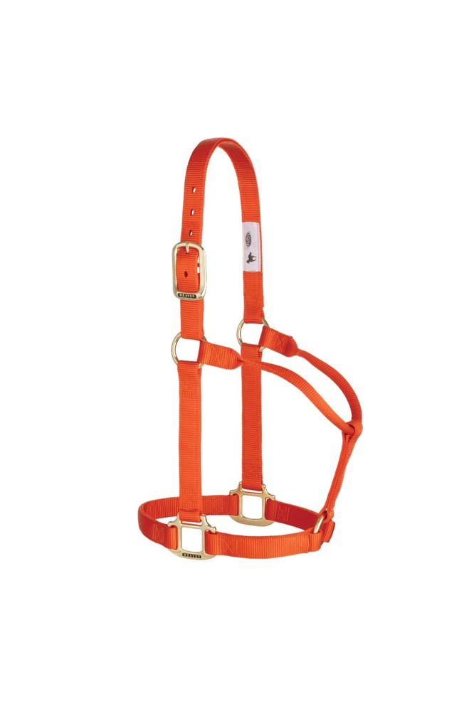 Original Non-Adjustable Halter , 1" Orange