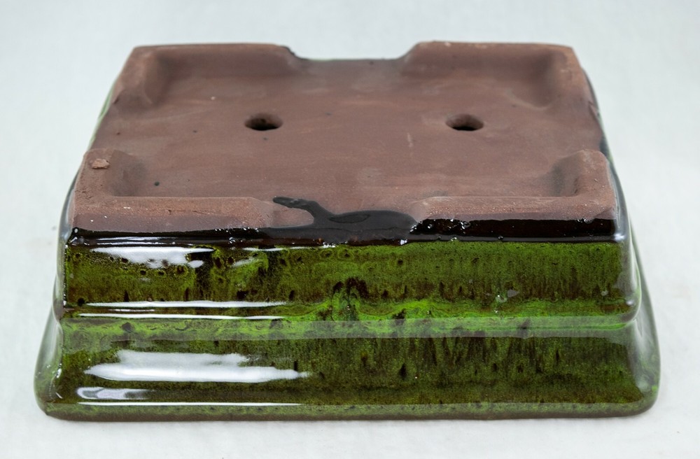 Rectangular Bonsai, Cactus & Succulent Pot 10"x 8"x 3.25" + Mesh - Moss Green