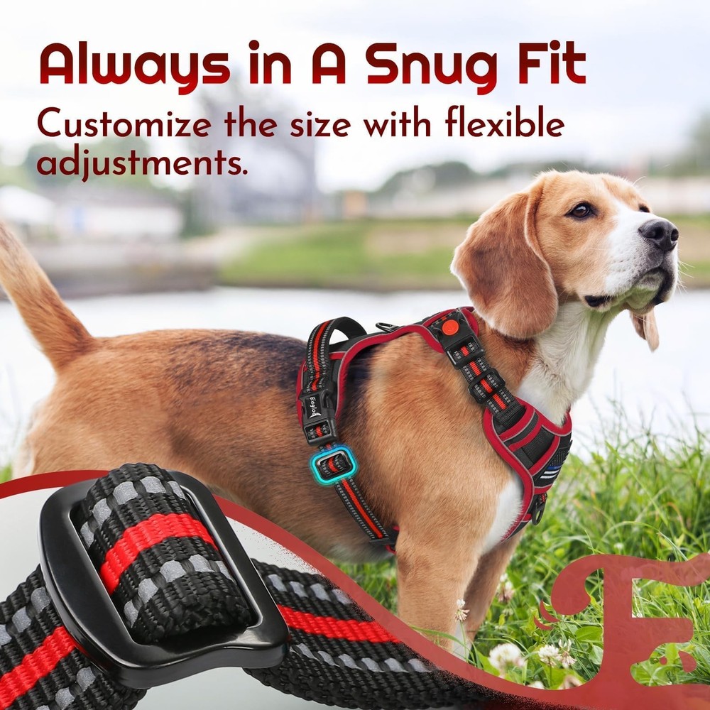 Dog Harness Small Sized, Easy Wearing with 3 Buckles, Adjustable No Pull Pet ...
