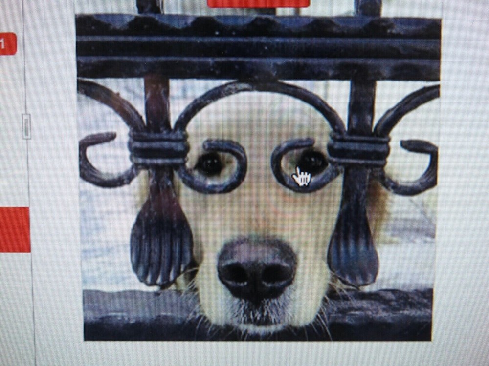 🔥🧯 1-FORK STYLE WALL MOUNT 5 & 10 lb. SIZE FIRE EXTINGUISHER (AMEREX) BRACKET