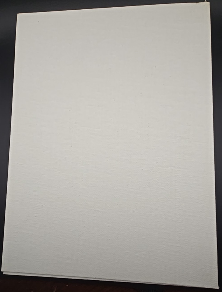 Fredrix Artist Canvas Panel Boards 3-Pack 9" x 12" Acrylic Primed White