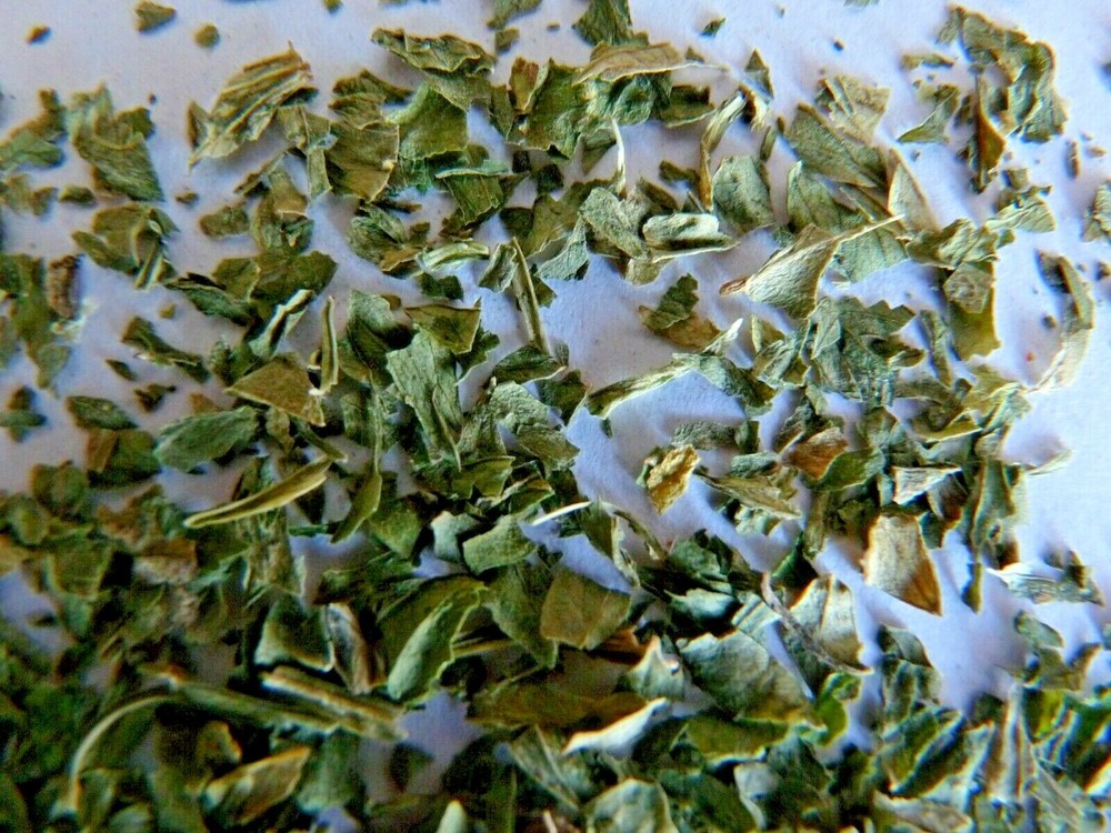 Celery Sheet 15 G (Celery Leaves)