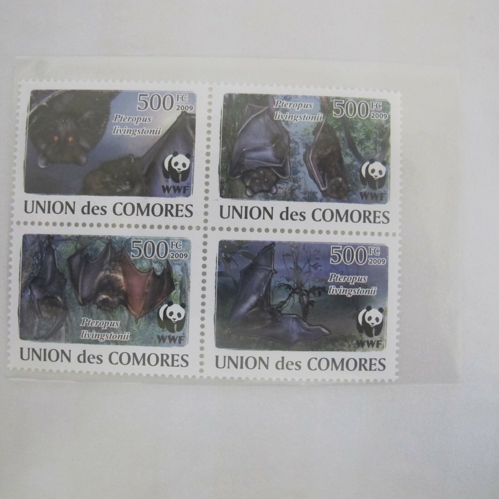 Union des Comores -    2009 WWF  Bats    MNH