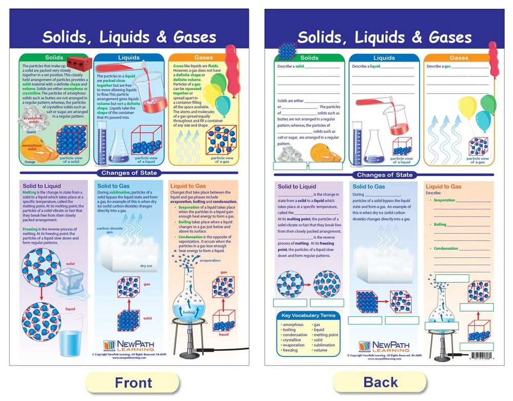NewPath Learning Matter & Interaction Bulletin Board Charts, Set/3 - Laminate...