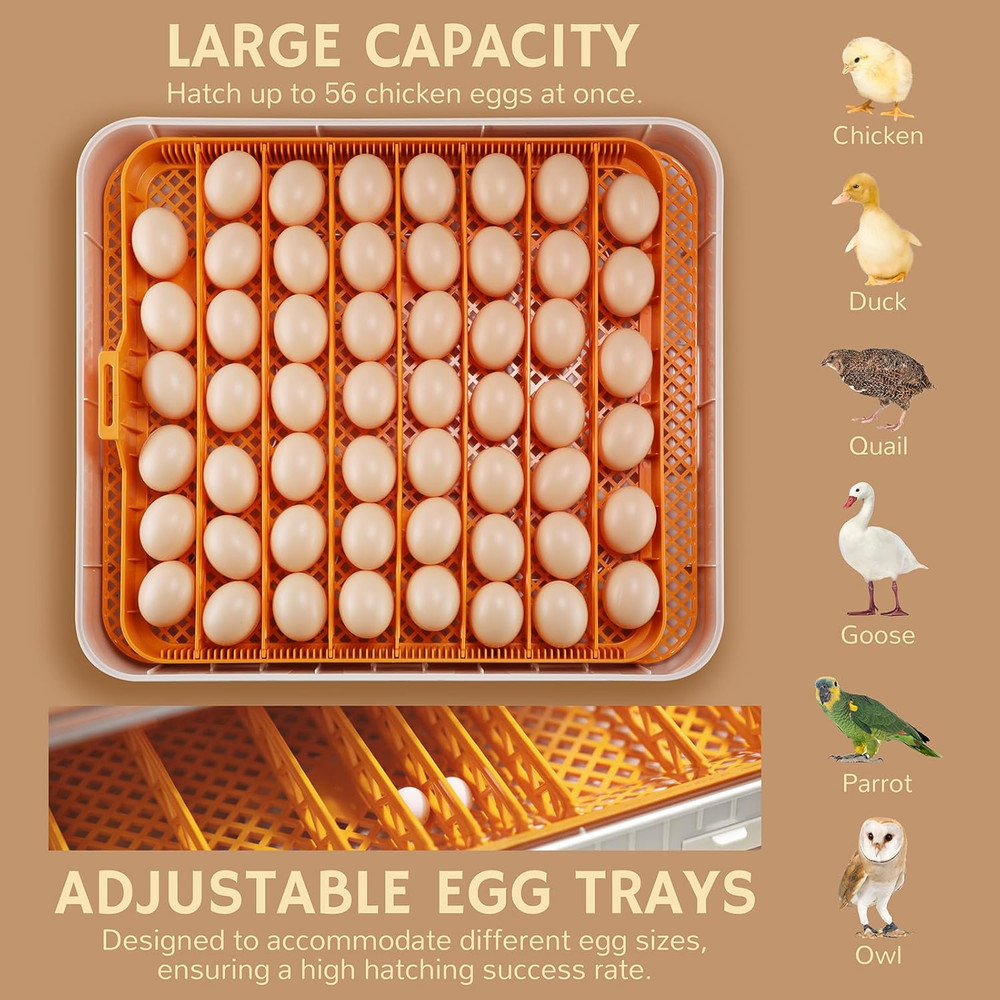 Nestasy Prohatch56 Automatic Egg Incubator with Temp Control & 56 Egg Capacity