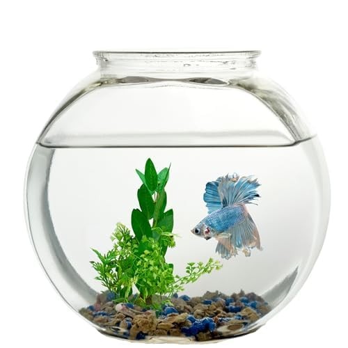 1-Gallon Fish Bowl, Impact-Resistant Plastic