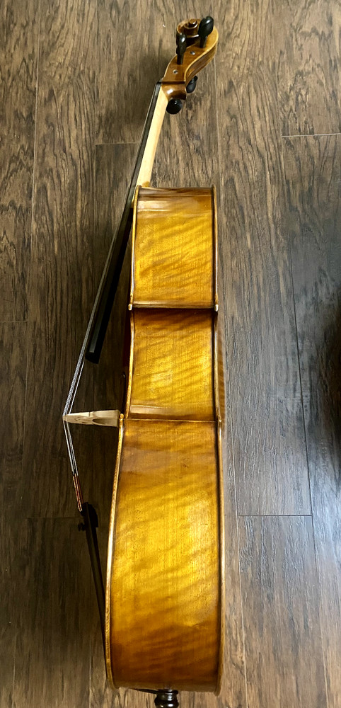 Eastman Strings Cello 4/4 with hard case