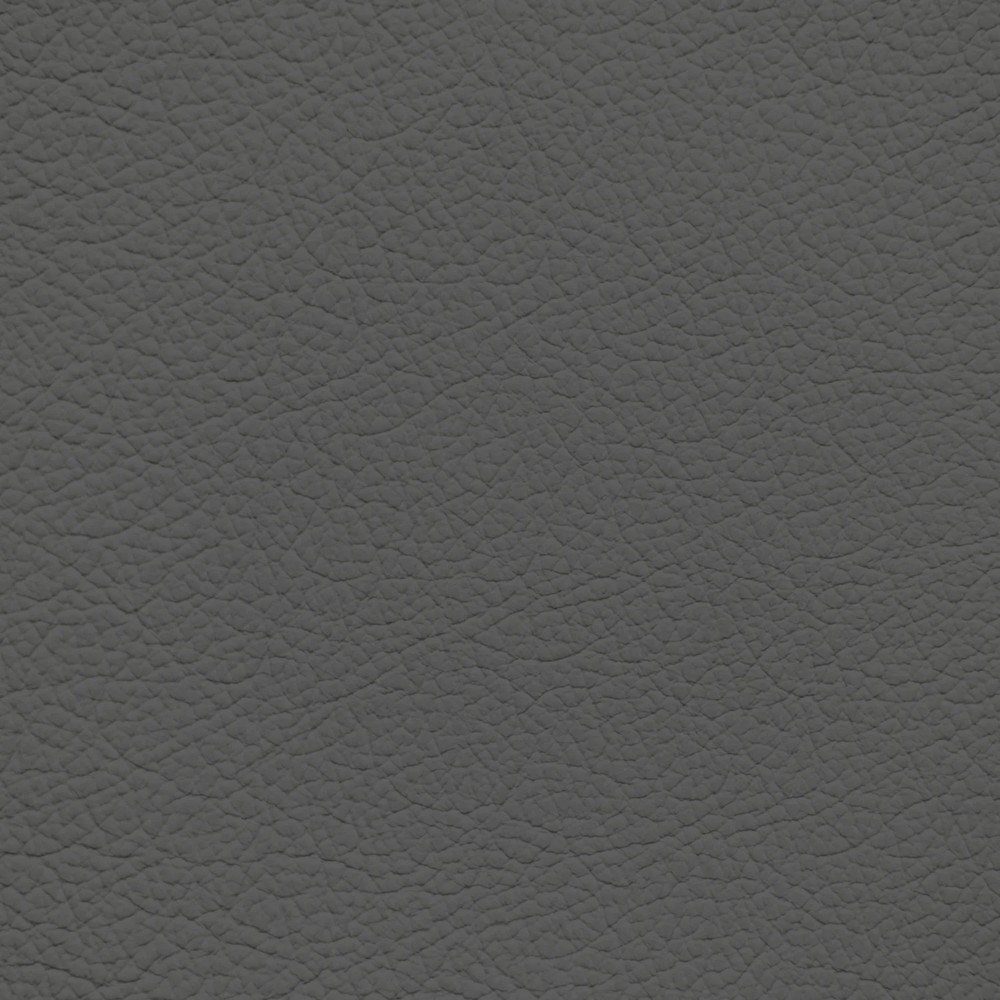 Ford/Lincoln/Mercury Shale Leather Dye