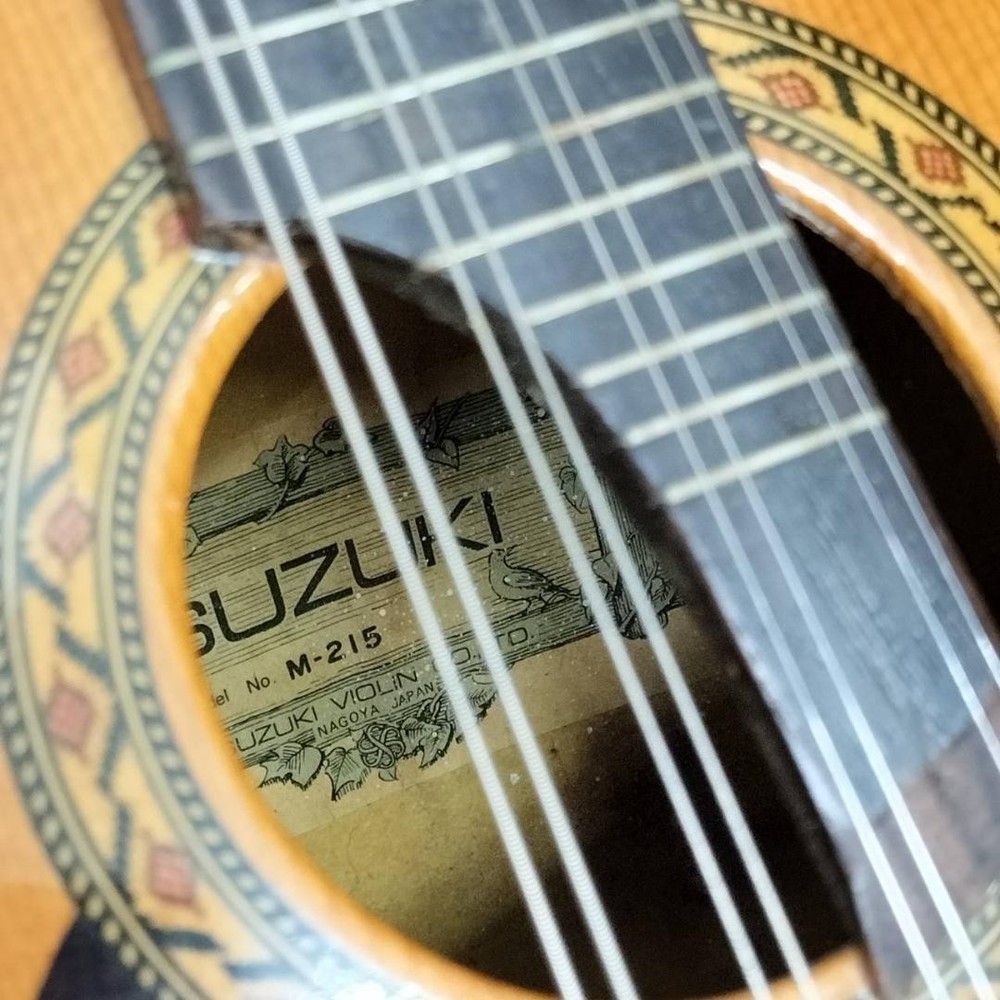 ◇Mandolin SUZUKI M-215 with hard case