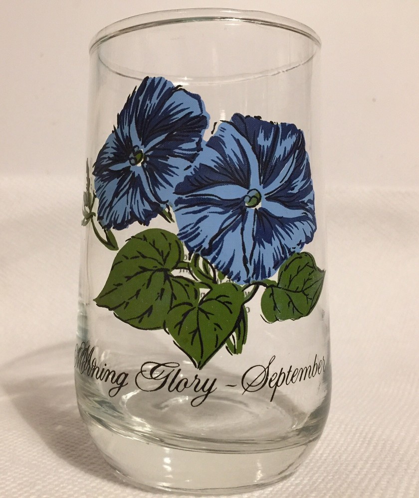Morning Glory September Drinking Glass Tumbler