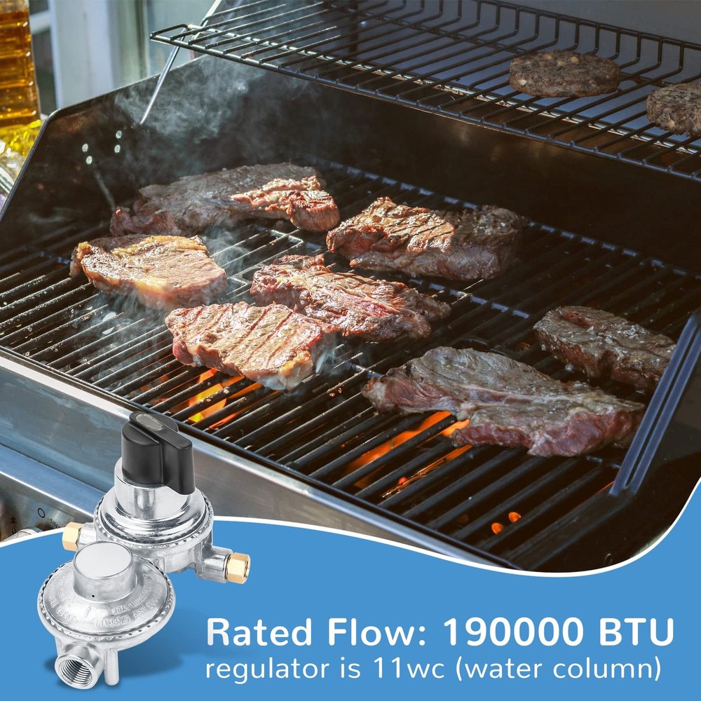 GR-9984 Rv Propane Regulator, Regulator