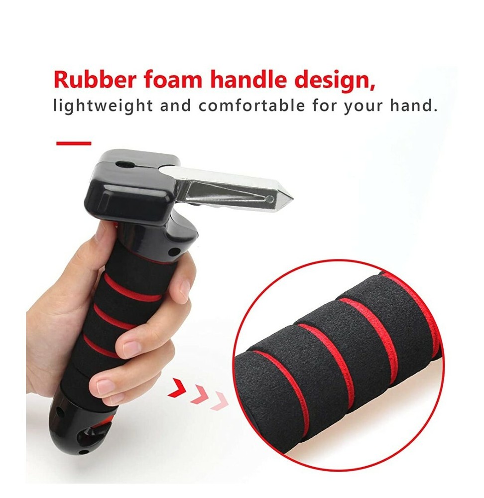 Car Cane