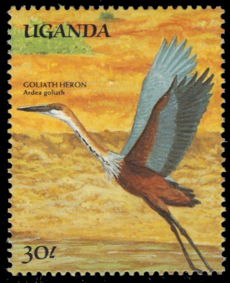 UGANDA 690h - Goliath Heron "Ardea goliath" (pb64008)